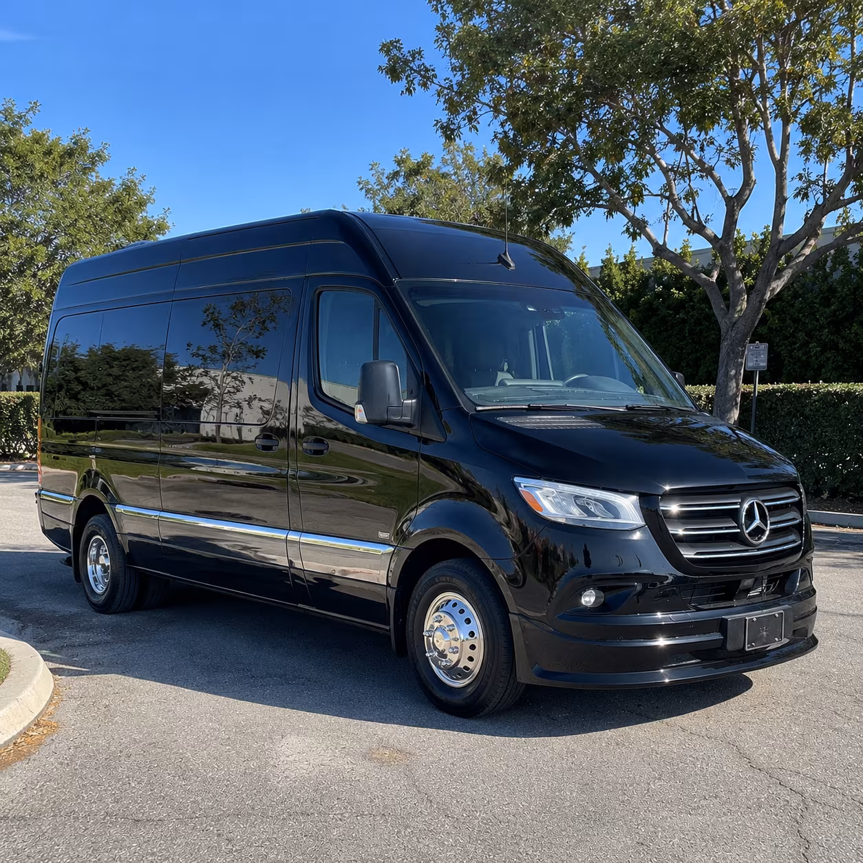 grapevine private event transportation